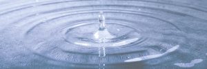 Talleres gratuitos de MIndfulness en Majadahonda. Fernández de la Riva