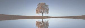 Cursos de Mindfulness en Majadahonda.