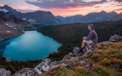 Actitudes para abordar un curso de Mindfulness