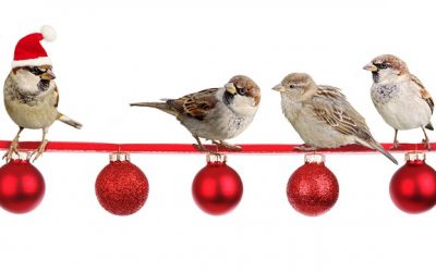 ¿Y si no te gusta la Navidad?