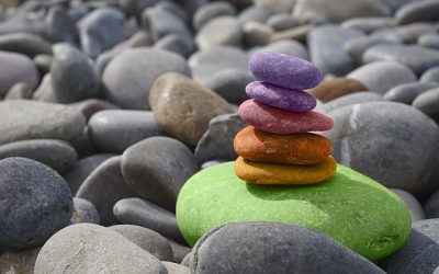 El Mindfulness  ¿Una terapia o una actividad psicoeducativa?.