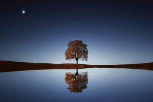 calma y serenidad